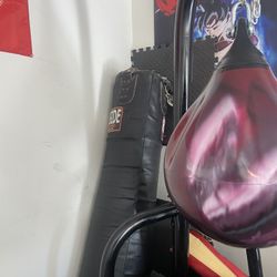 Punching Bag 