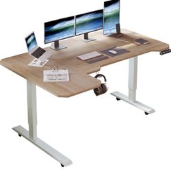 Standing Desk 