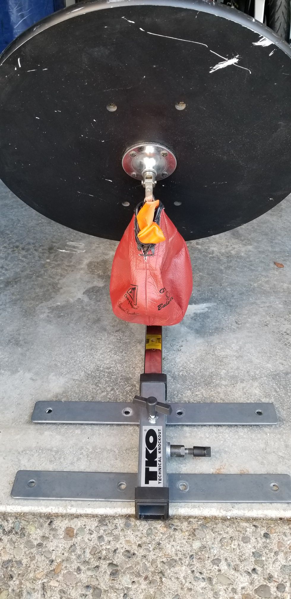 Speed bag and adjustable mount
