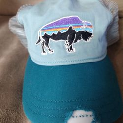 Patagonia Baseball Hat Cap Preowned