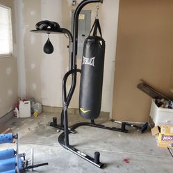 Punching Bag With Speed Bag