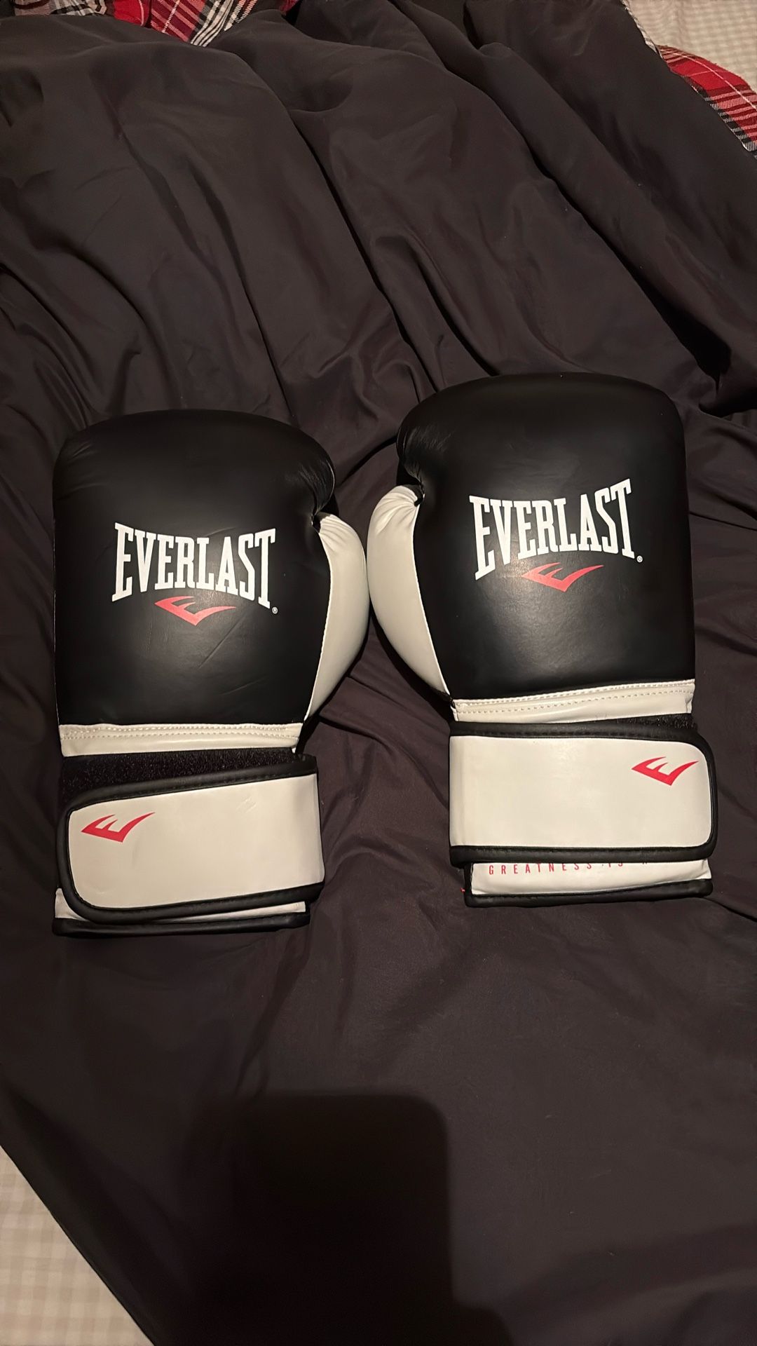Everlast Boxing Gloves 
