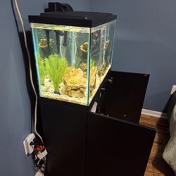 FISH TANK
