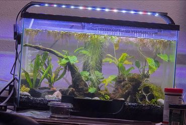 10G