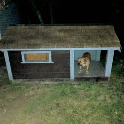 Ex- L Dog House 