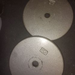 Two 25 Lb Weight Plates