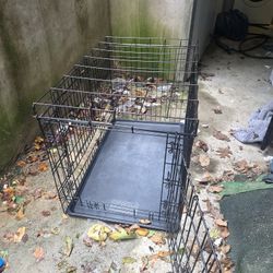 Large Dog Cage