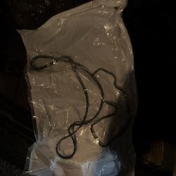 Durango Oem Water Pump Gasket 