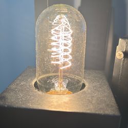 Antique Vintage Edison Light Bulb 
