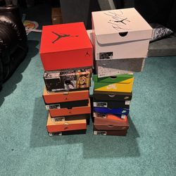 Sneaker Collection 