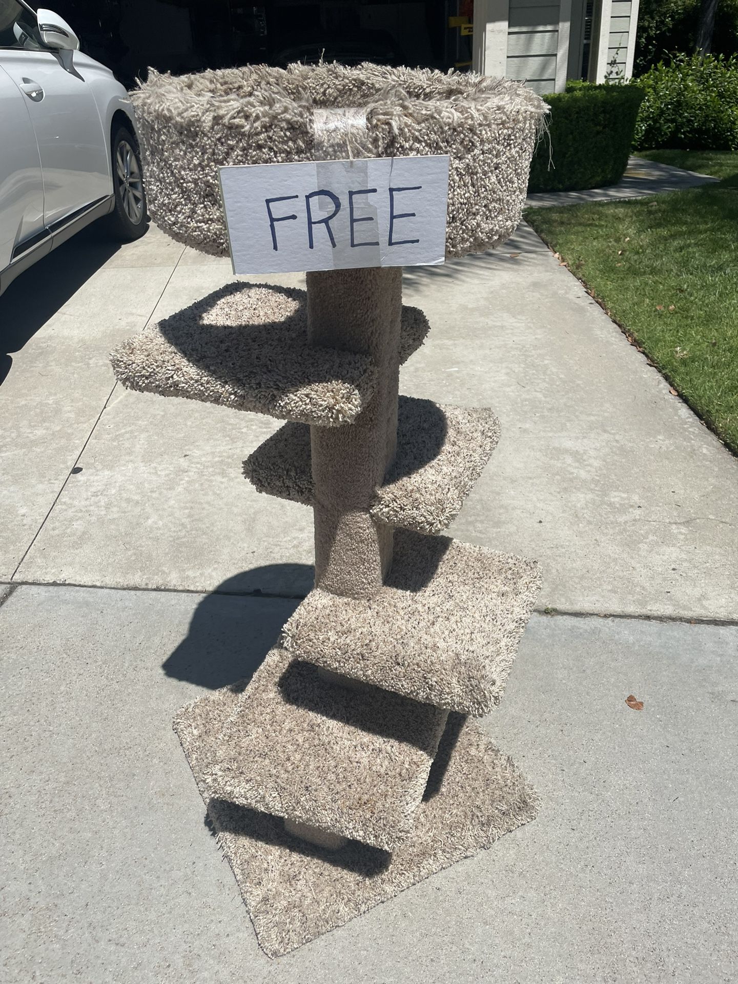 Cat Tower— FREE