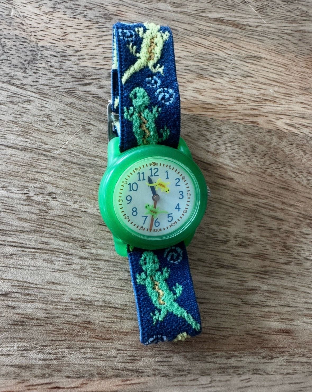 Children lizard watch