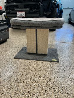 Free Cat Condo