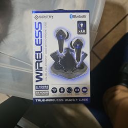 Sentry Wireless Earbuds