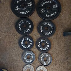 155lbs Olympic Weight Plates 