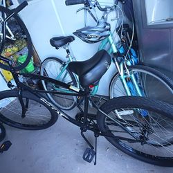 Brand New Beach Cruiser 