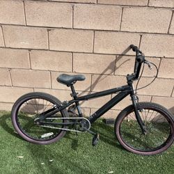Ready To Write 20 Inch Bike $100