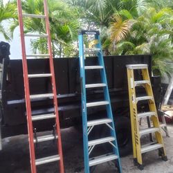 3 Werner Ladder 6 .8 and 24 Feet 