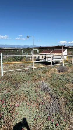Horse Stable