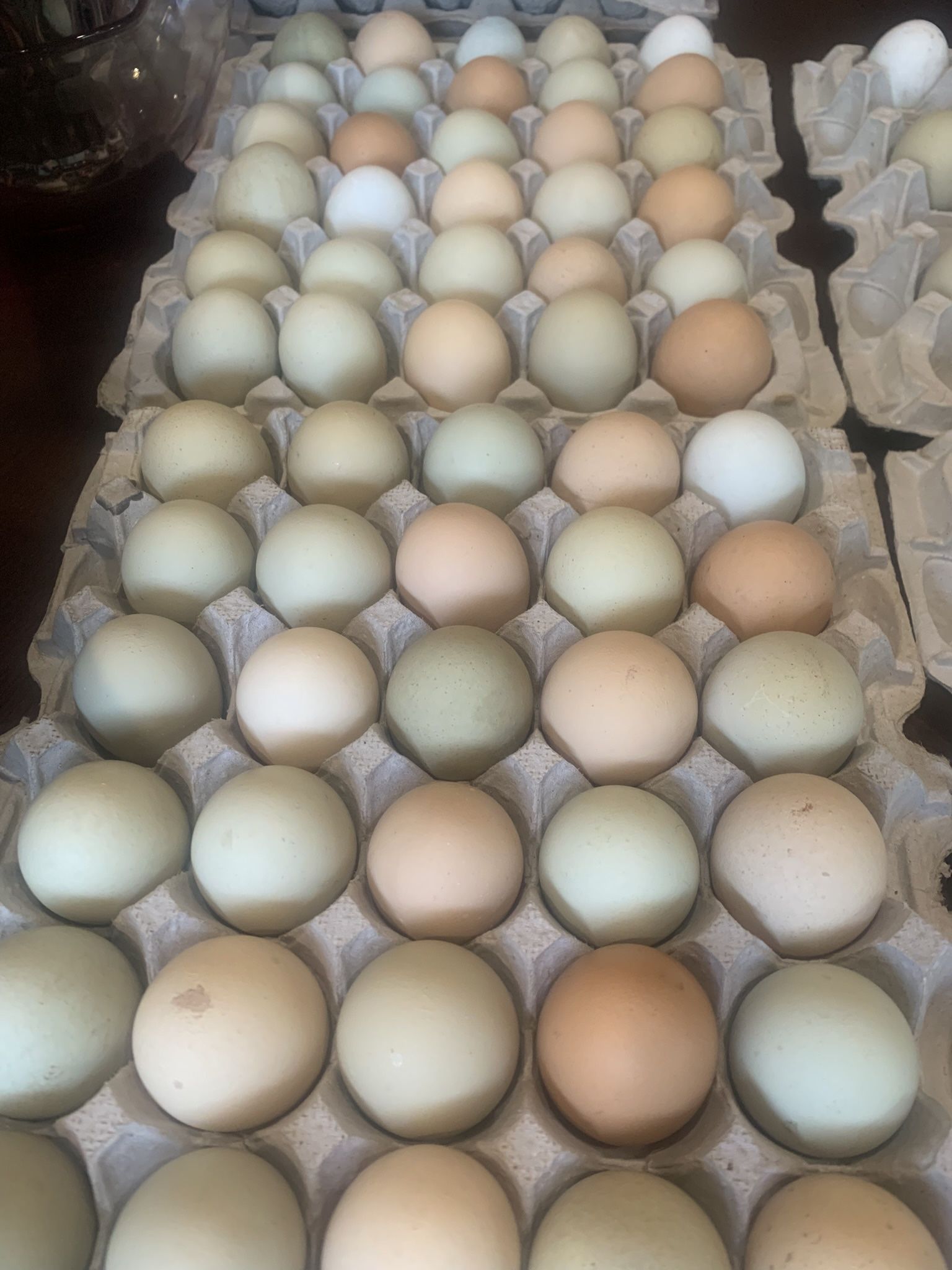 Organic Eggs No Hormones No Antibiotics No Stressed Chickens