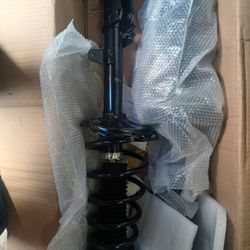 Rear Struts 