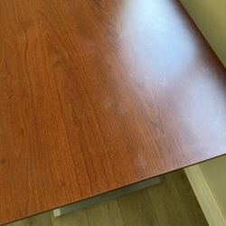 FLEXISPOT EN1 One-Piece Standing Desk, 48 x 24 Inches Electric Height Adjustable Desk for Home Office (Silver Frame + 48 in Mahogany Top