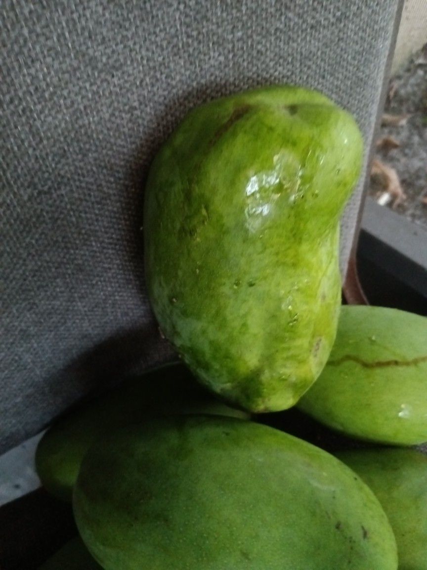 Big Mango Francique $3