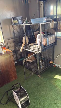 2 Story Kennel