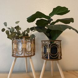 Plant Stands
