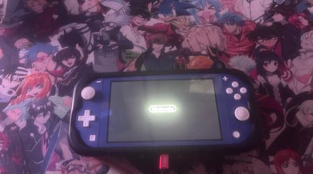Nintendo switch lite