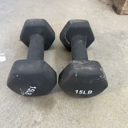 15 Lb Dumbbells