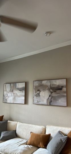 Set of 2 Neutral Abstract Framed Canvas Wall Art — $80 OBO