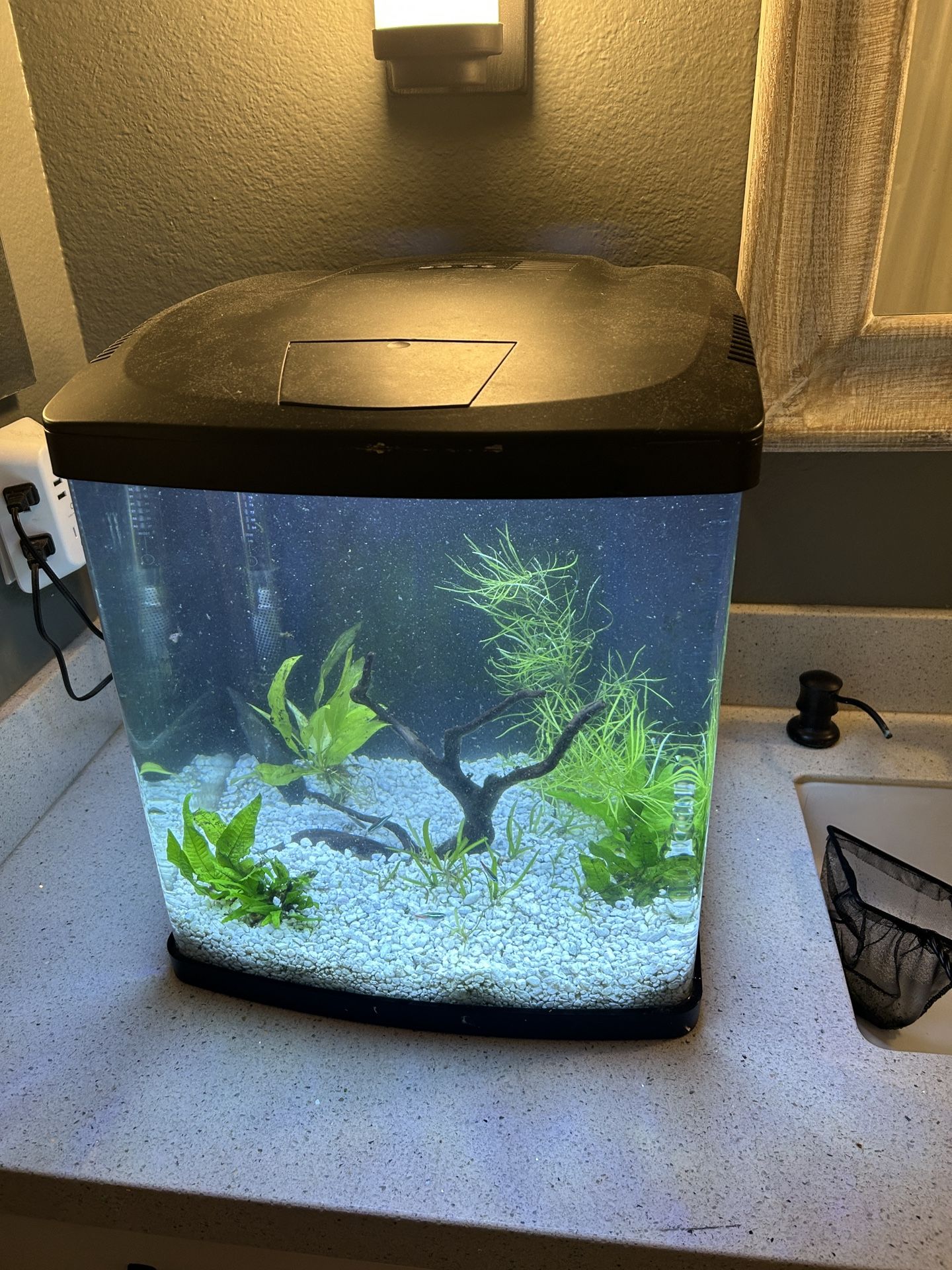 BioCube Aquarium 16 Gallon Fish Tank