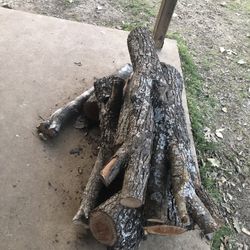 Firewood  Also Can Be Like Art Wood