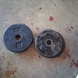 Four (4) 5lbs 5 Pounds 1" Standard Weight Plates