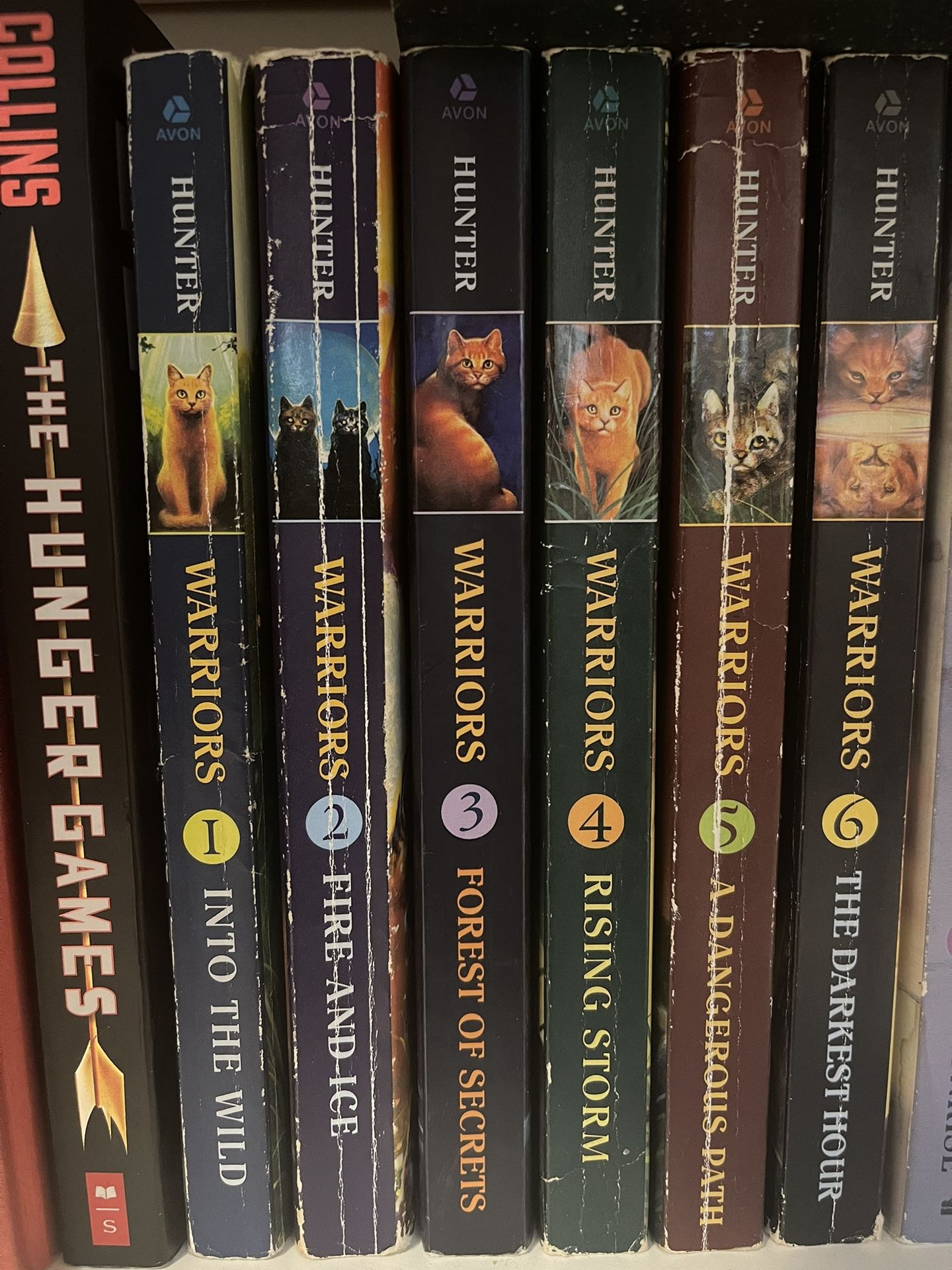 Warrior Cats 1st Series Paperback
