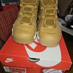 Nike UPTEMPOS Brand New Never Worn 