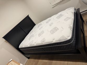 Queen Bed Set – Mattress, Box Spring & Wood Frame