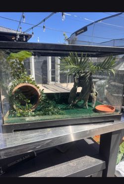 Fish tank