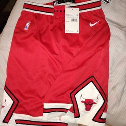 Nike NBA Boys Shorts