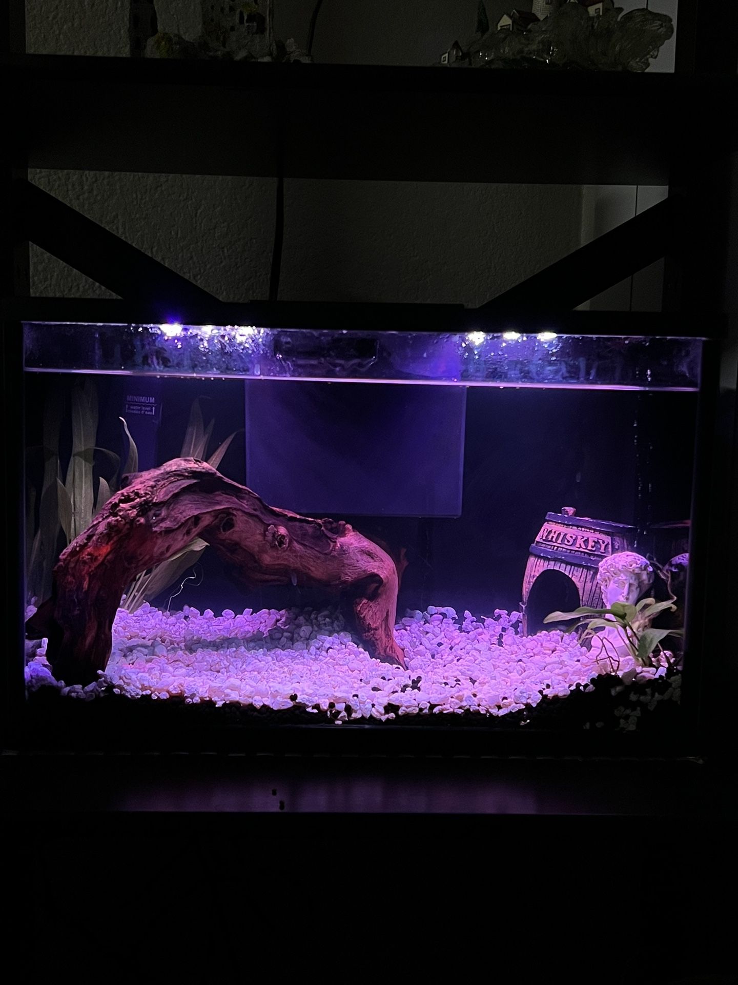 Fish Tank