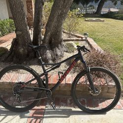 2019 Specialized Epic Comp- 2019 Trek Fuel EX 8