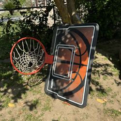 Lifetime Basketball Hoop