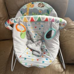 Baby Bouncer