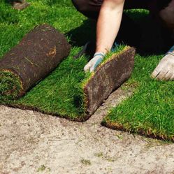 New Sod $2 Sqft Included Ground Prep, Sod And Installation