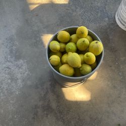 Limones y presión cortaditos a 15 del bote