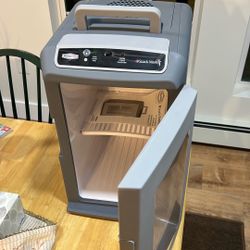 Roadpro Snack Master Cooler/Warmer 