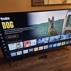 VIZIO E Series 65" Class UHD 4K Smart LED TV - HDR10, HLG, Dolby Vision - 120 Hz (Gaming, Sports) - Google Assistant & Amazon Alexa Control (MSRP $1k)