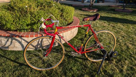 Vintage Raleigh Europa Team Road Bike – Fully Serviced, Ready to Ride