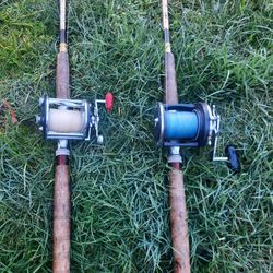 Rod and reel 